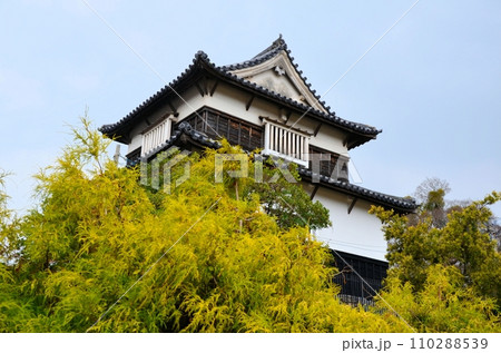 福岡城 (伝)潮見櫓 福岡城 (伝)潮見櫓 110288539