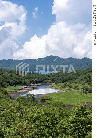 赤城山鳥居峠から望む覚満淵と大沼 110288838
