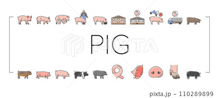 pork pig farm animal piglet hog icons set vector 110289899