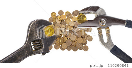 Allegory of the global financial crisis - Iron 10 rubles coin (written ten rubles, the Bank of Russia) in the grip of economic crisis, on a white background. Finance and business concept Allegory of the global financial crisis - Iron 10 rubles coin (written ten rubles, the Bank of Russia) in the grip of economic crisis, on a white background. Finance and business concept 110290841