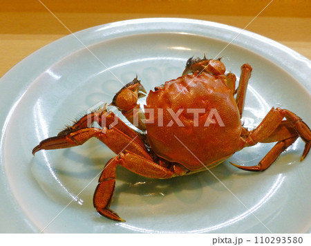 脂がのったカニは最高に美味、上海蟹と同族のモクズガニの塩茹での写真 脂がのったカニは最高に美味、上海蟹と同族のモクズガニの塩茹での写真 110293580