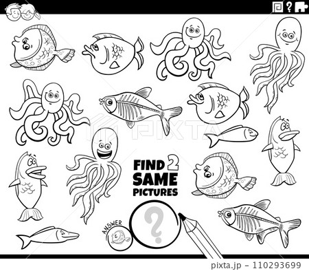 find two same cartoon marine animals game coloring page find two same cartoon marine animals game coloring page 110293699