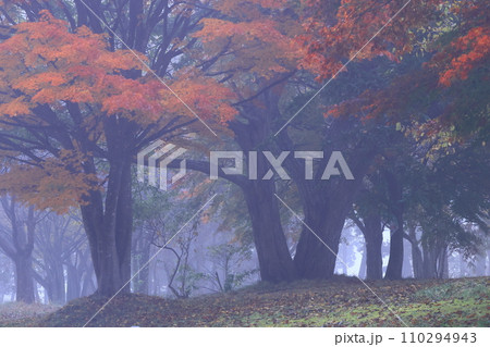 岩手県北上市　紅葉の樺山遺跡 110294943