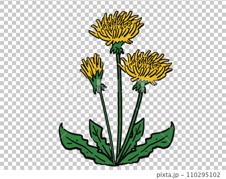 手繪風格的蒲公英插畫 110295102