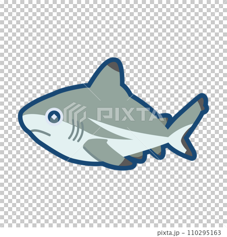 Cute blacktip shark illustration 110295163