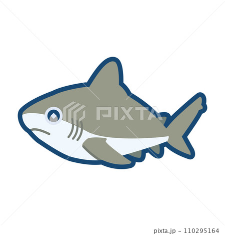 かわいいメジロザメのイラスト	 110295164