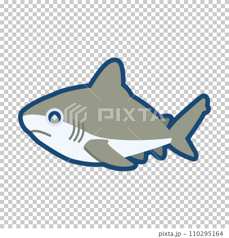 かわいいメジロザメのイラスト	 110295164