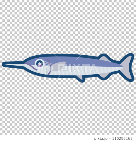 Cute needlefish illustration 110295165