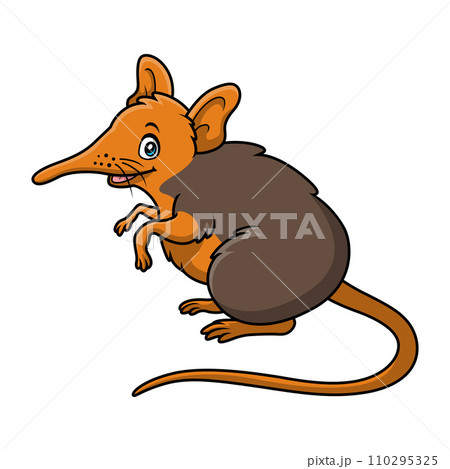 Cute elephant shrew cartoon on white background 110295325