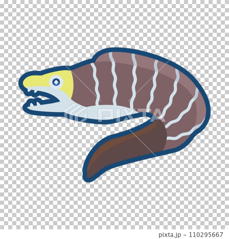 Cute moray eel illustration 110295667