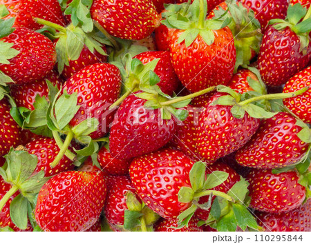 Fresh organic Strawberry fruit background 110295844