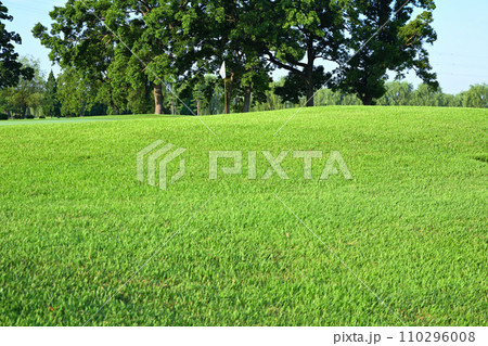 真夏のゴルフ場　人無しグリーン　　　 110296008