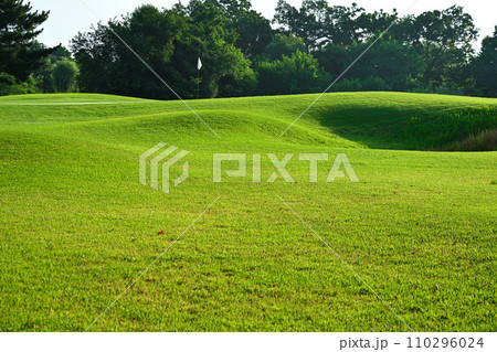 真夏のゴルフ場　人無しグリーン　　　 110296024