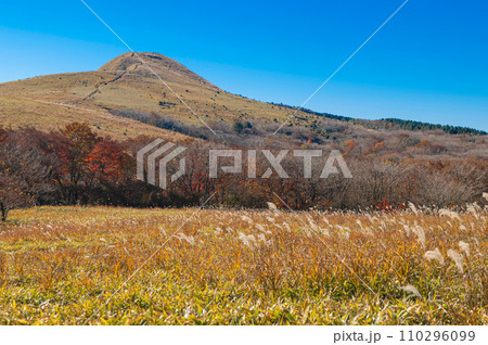 涌蓋山登山「登山道から望むみそこぶし山」 110296099