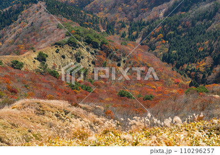 涌蓋山登山「涌蓋山山頂から望む紅葉」 110296257