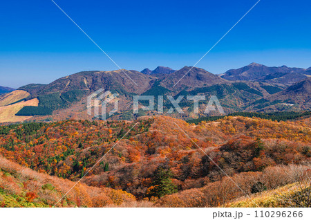 涌蓋山登山「くじゅう連山と紅葉」 涌蓋山登山「くじゅう連山と紅葉」 110296266