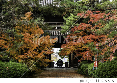 天徳院の紅葉 天徳院の紅葉 110297515