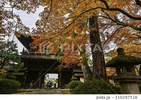 天徳院の紅葉 天徳院の紅葉 110297516