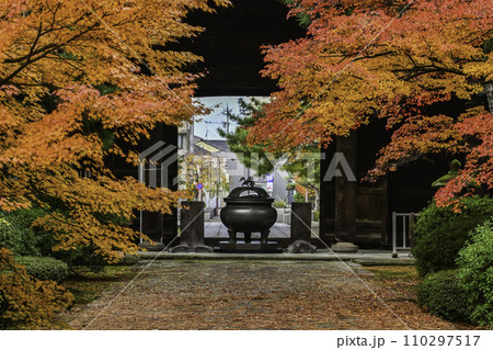 天徳院の紅葉 天徳院の紅葉 110297517