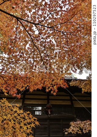 天徳院の紅葉 天徳院の紅葉 110297523