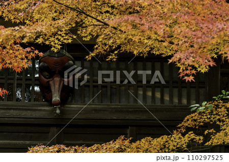 天徳院の紅葉 天徳院の紅葉 110297525