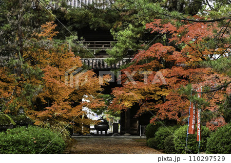 天徳院の紅葉 天徳院の紅葉 110297529