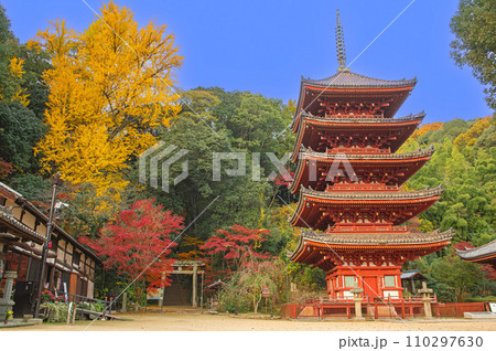 紅葉期の明王院（福山市）の五重塔 110297630