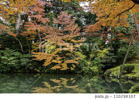 晩秋の紅葉が美しい兼六園 110298107