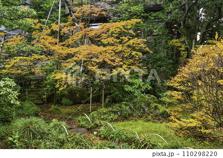 寺島蔵人邸の紅葉 寺島蔵人邸の紅葉 110298220