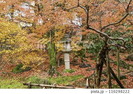寺島蔵人邸の紅葉 110298222