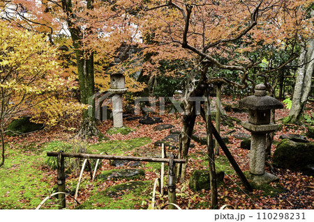 寺島蔵人邸の紅葉 寺島蔵人邸の紅葉 110298231