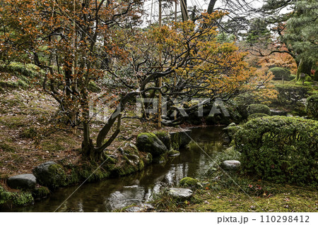 晩秋の紅葉が美しい兼六園 110298412