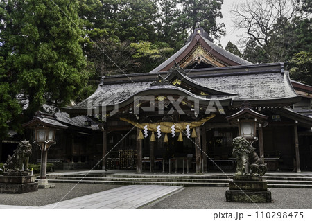 晩秋の白山比咩神社の紅葉 晩秋の白山比咩神社の紅葉 110298475