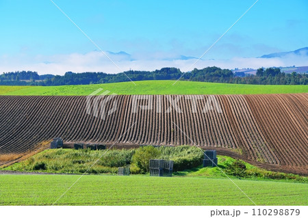 北海道美瑛町　新栄の丘からの風景 110298879