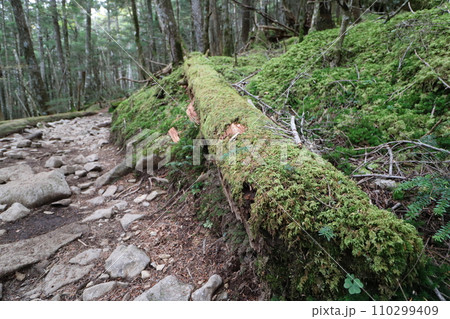 2023年10月の山梨県の金峰山の登山 110299409