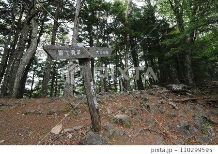 2023年10月の山梨県の金峰山の登山 110299595