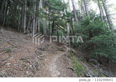 2023年10月の山梨県の金峰山の登山 110299601
