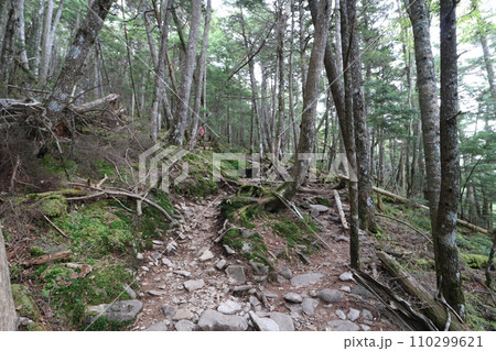 2023年10月の山梨県の金峰山の登山 2023年10月の山梨県の金峰山の登山 110299621