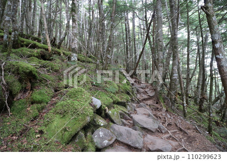 2023年10月の山梨県の金峰山の登山 110299623