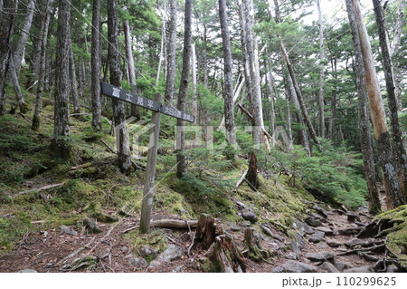 2023年10月の山梨県の金峰山の登山 110299625