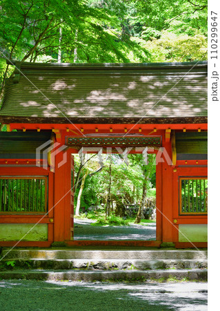 京都　新緑の貴船神社　奥宮（京都府京都市） 110299647