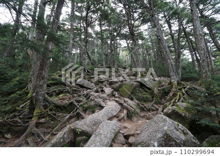 2023年10月の山梨県の金峰山の登山 110299694