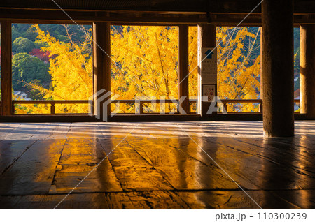 厳島神社の千畳閣（豊国神社） 110300239
