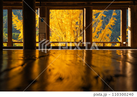 厳島神社の千畳閣（豊国神社） 110300240