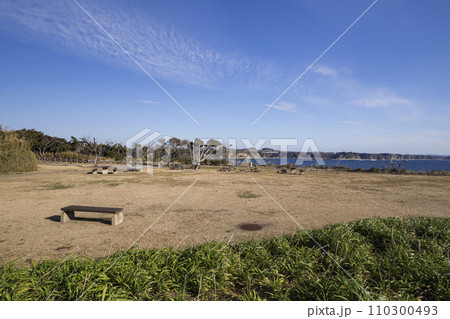 三浦海岸の三浦市城ヶ島の早春の風景 110300493