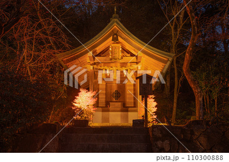 ライトアップされた竈門神社の五穀神社 ライトアップされた竈門神社の五穀神社 110300888