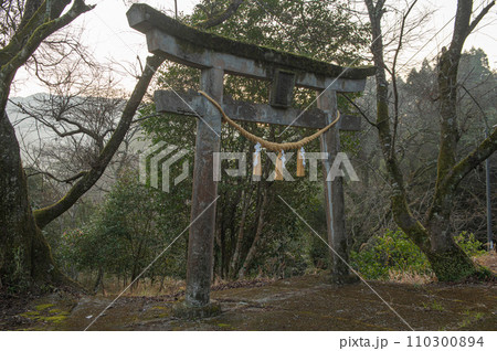 白鹿権現のある熊野神社の鳥居 白鹿権現のある熊野神社の鳥居 110300894
