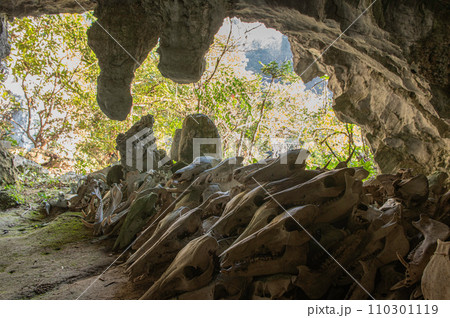 白鹿権現に奉納された鹿や猪の頭蓋骨 110301119