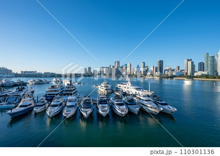 Yacht Haven Grande marina with cruise ships and City of Miami in background. 110301136