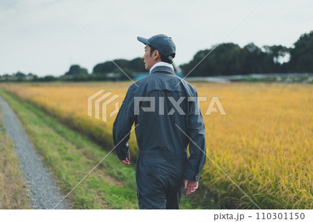 rice farming rice farming 110301150